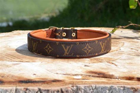 dogs louis vuitton|louis vuitton dog collar large.